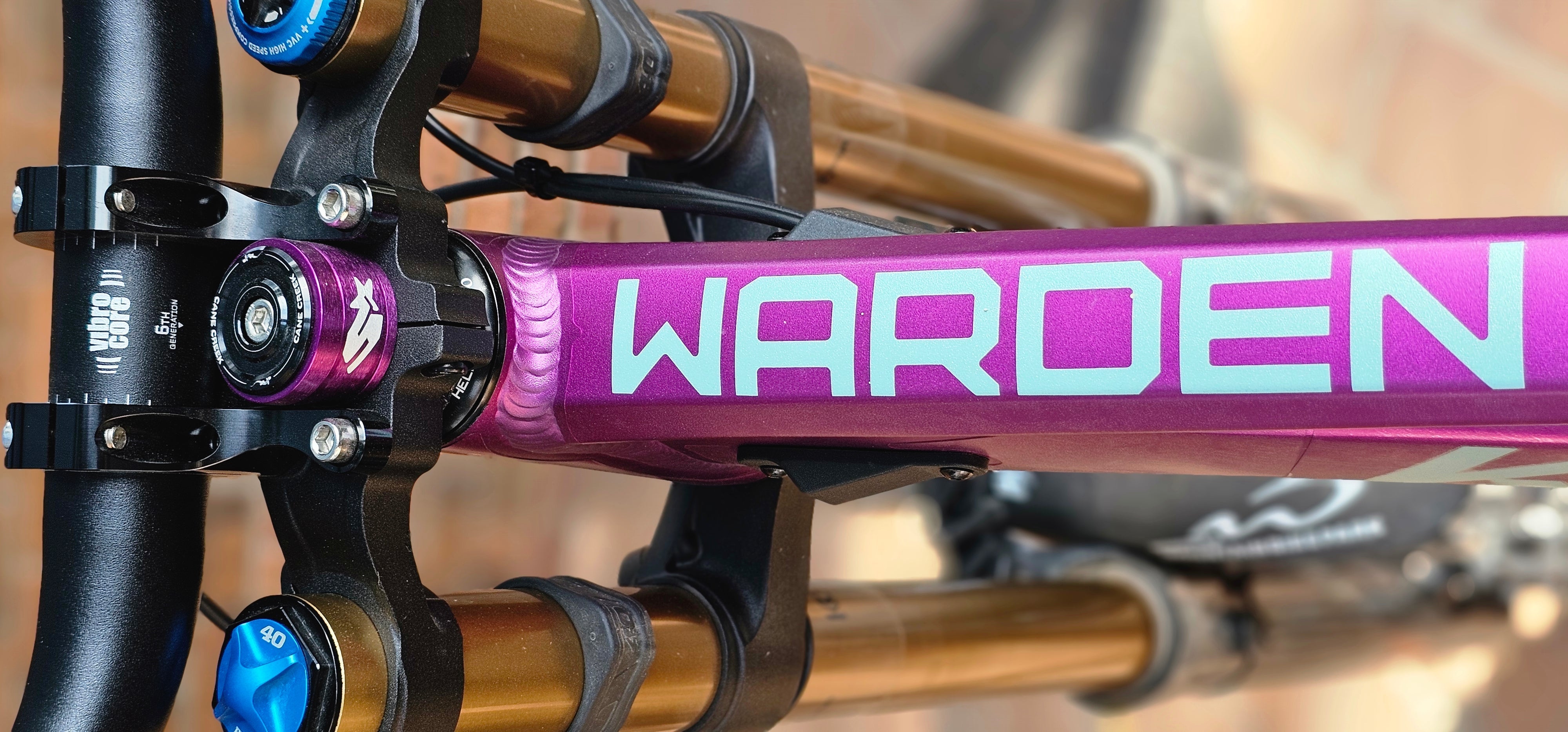 Limited Edition Spotlight: Ano Purple Warden Bike Check – Knolly Bikes