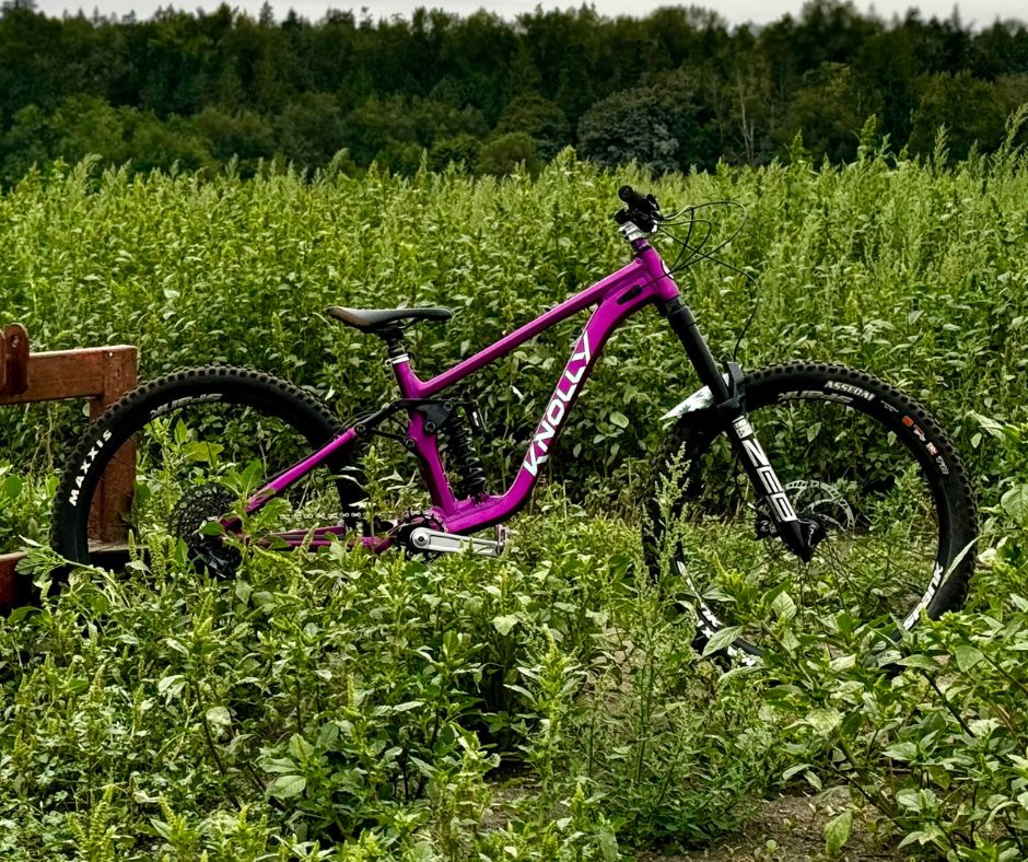 Green and purple bike online