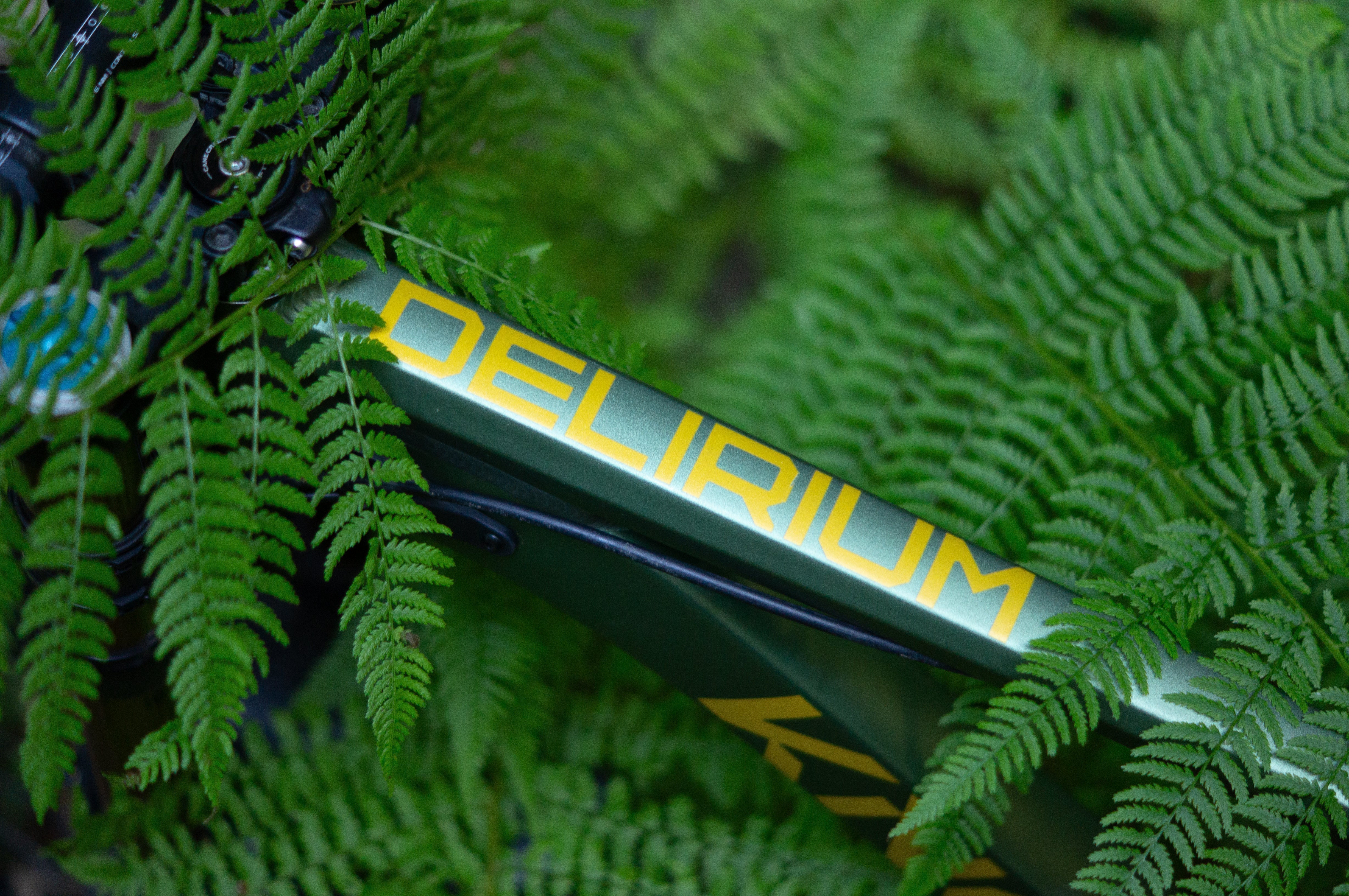 Anodized Green Delirium Bike Check