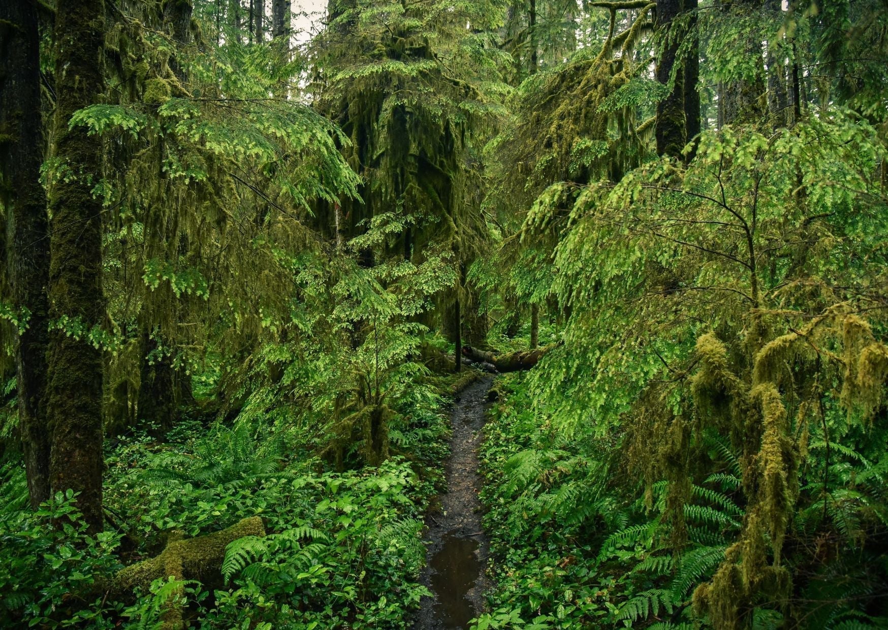 A Message From Noel Buckley