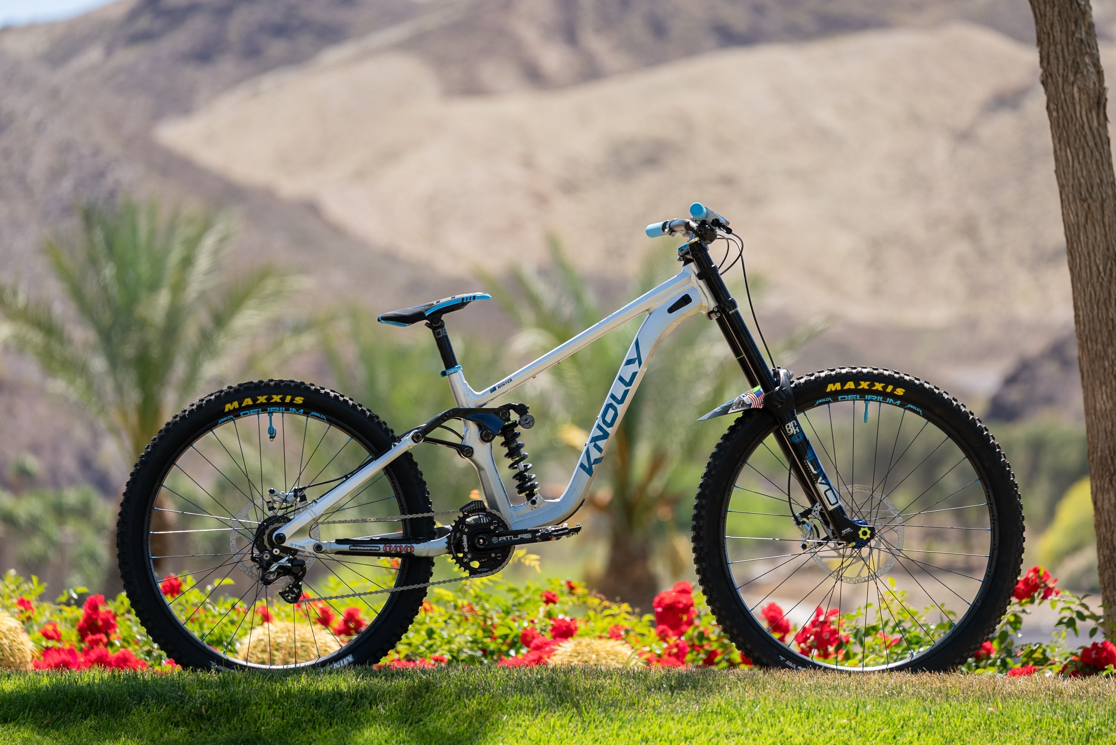 One-Off Custom Delirium Bike Check with Blue Accents Inspired by the Detroit Lions