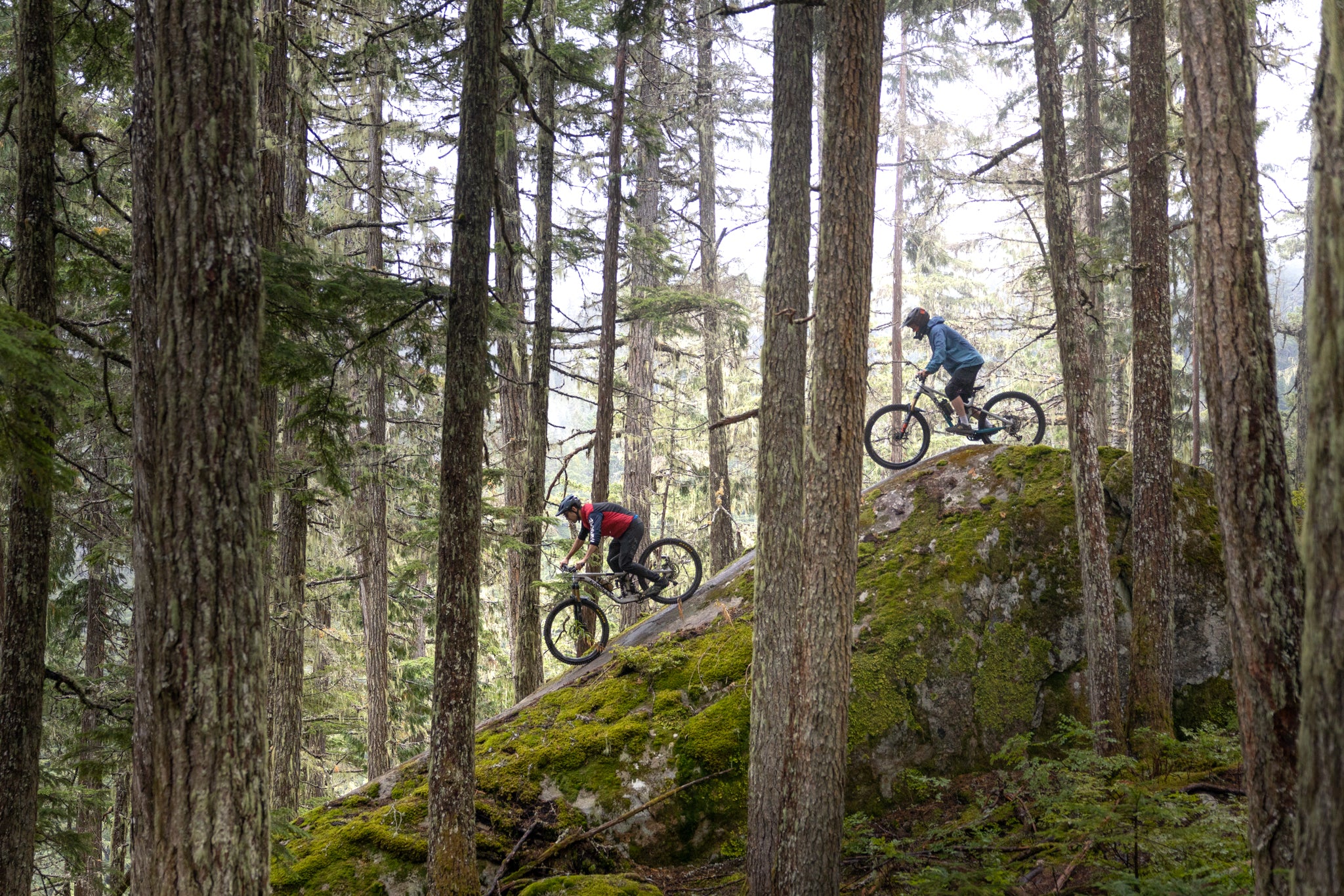 Knolly Warden | 170 Enduro Mountain Bike – Knolly Bikes
