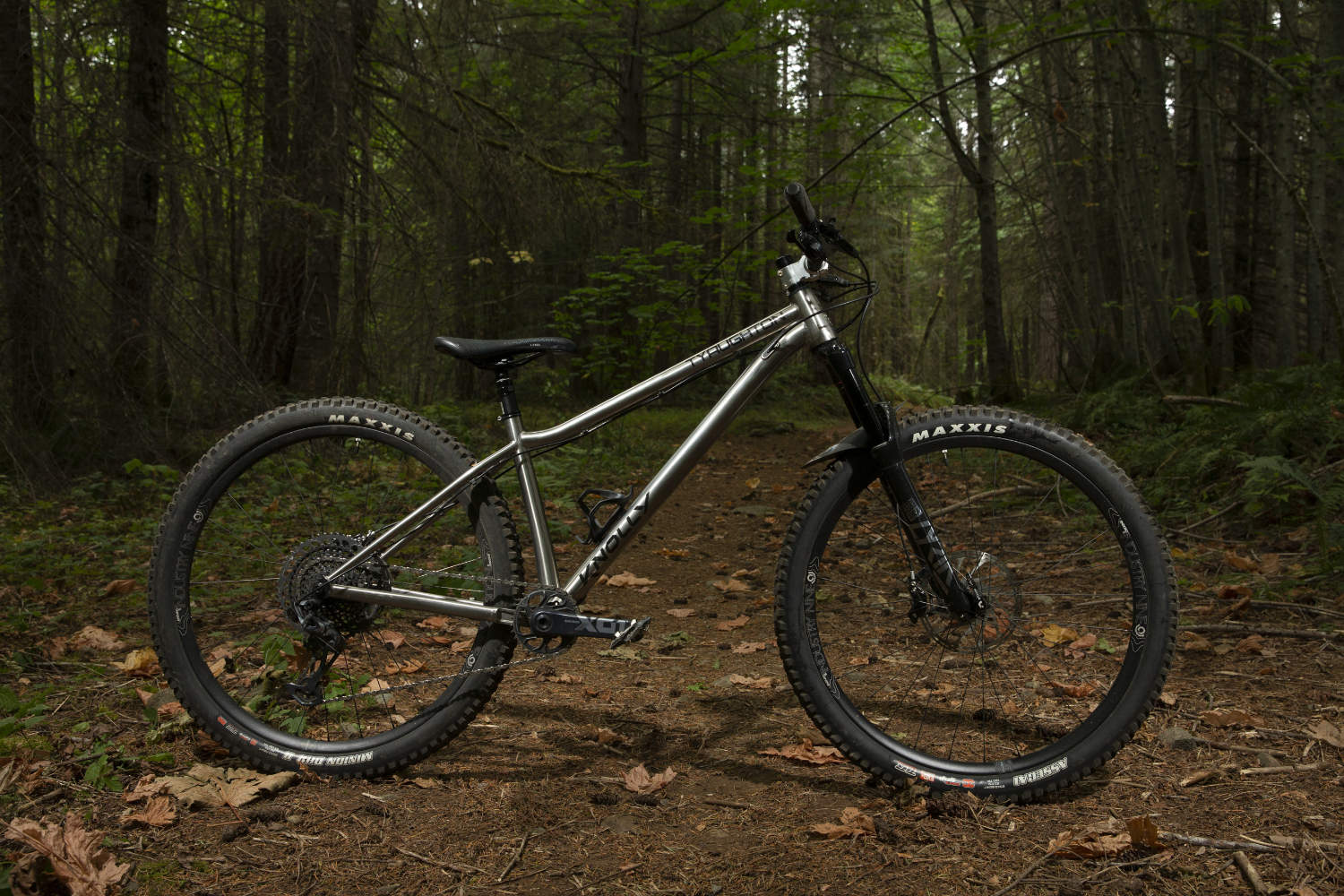 Titanium downhill bike sale